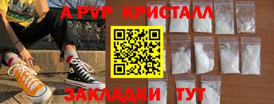 крисы Славгород