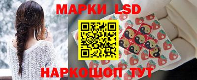 крисы Славгород