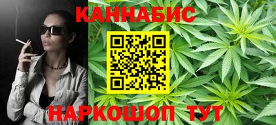 крисы Славгород