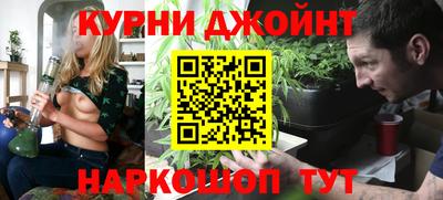 крисы Славгород