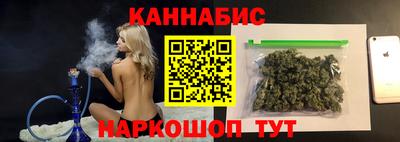 крисы Славгород