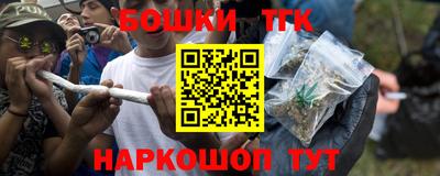 крисы Славгород