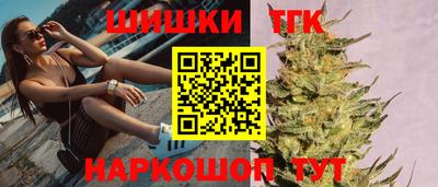крисы Славгород