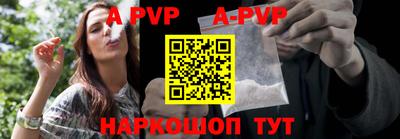 крисы Славгород