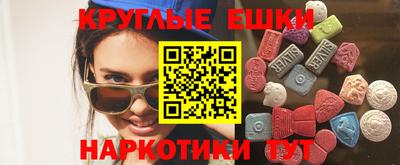 крисы Славгород