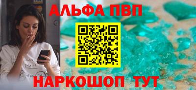 крисы Славгород