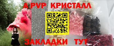 крисы Славгород