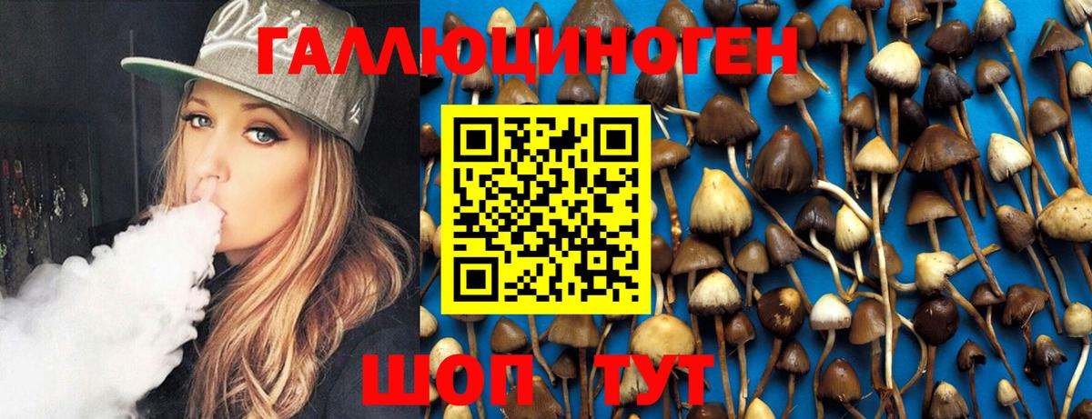 Псилоцибиновые грибы GOLDEN TEACHER  купить закладку  Псилоцибиновые грибы Magic Shrooms  Полевской  Вход с VPN 